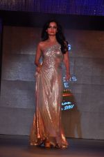 Dia Mirza at Blenders Pride Fashion Tour 2011 Day 2 on 24th Sept 2011 (117).jpg